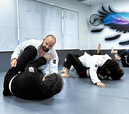 Adult All Levels Brazilian Jiu Jitsu Coquitlam